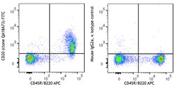 Biolegend FITC anti-mouse CD20 Recombinant [QA18A73]; Isotype: Mouse IgG2a,