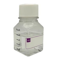 TOKU-E Kanamycin ReadyMade Solution, 25389-94-0, 100 ML, Quantity: Each
