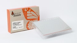 New England Biolabs, Inc.&nbsp;NEBNext Primers for Epigenetics (Unique Dual Index Set 2B) 24 rxns