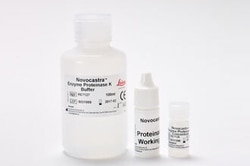 Leica Biosystems Enzyme Proteinase K (IHC), Quantity: Each of 1