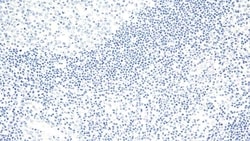 Leica Biosystems 7ml Bond RTU Neg (Rabbit), Quantity: Each of 1