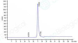 Sino Biological Recombinant Human p38 Protein (His Tag), Activated in vitro,
