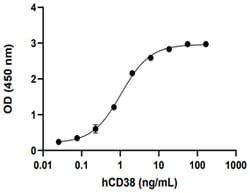 Biolegend Biotinylated Recombinant Human CD38 (carrier-free) Reactivity: