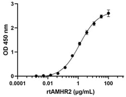Biolegend Recombinant Rat AMHR2/MIS RII-Fc Chimera (carrier-free) Reactivity: