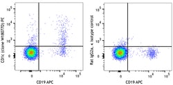 Biolegend&nbsp;PE anti-human CD1c [W18077D]; Isotype: Rat IgG2a κ; Reactivity: Human; Apps: FC; Size: 25 tests