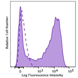 Biolegend FITC anti-mouse CD13 Recombinant [QA19A12]; Isotype: Rat IgG2a
