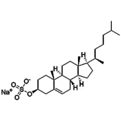 Kyfora Bio&nbsp;Cholesterol Sulfate, sodium salt 25 MG