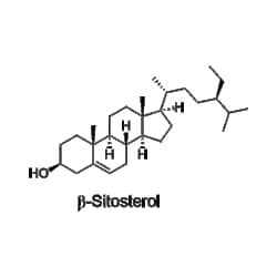 Kyfora Bio Beta-sitosterol 5 MG