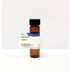 Kyfora Bio LipoVectorTM 500 MG