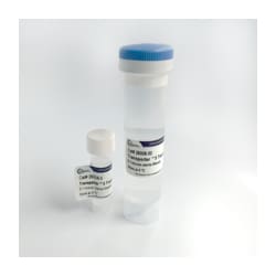 Kyfora Bio Transporter 5 Transfection Reagent 50ML, Quantity: Each of 1