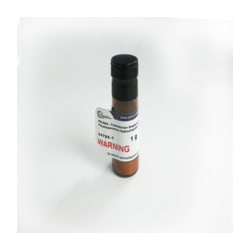 Kyfora Bio PEI MAX - Transfection Grade (Linear Polyethylenimine Hydrochloride