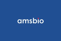 Amsbio LLC&nbsp;CELLBANKER 2 Serum-free and animal origin-free Cryopreservation Media (4 x 20 ml)