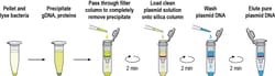 LUNA NANOTECH INC PLASMID MINIPREP PLUS KIT