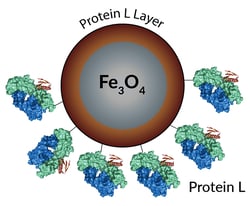 LUNA NANOTECH INC PROTEIN L MAGNETIC BEADS