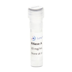 LUNA NANOTECH INC&nbsp;Rnase A, Dnase Free, 20 Mg/ML, 3 ML
