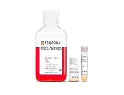 STEMCELL Technologies STEMdiff Cardiomyocyte Expansi, 1 Kit