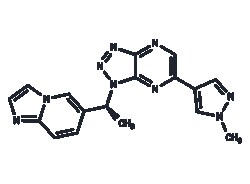 TARGETMOL CHEMICALS INC SAVOLITINIB 10MG