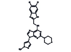 TARGETMOL CHEMICALS INC&nbsp;SR-4835 5MG