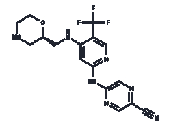 TARGETMOL CHEMICALS INC&nbsp;CCT245737 10MG