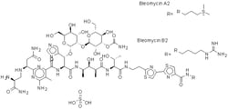 TARGETMOL CHEMICALS INC BLEOMYCIN SULFATE 10MG
