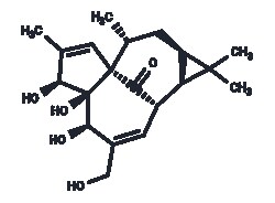 TARGETMOL CHEMICALS INC INGENOL 10MG, Quantity: Each of 1