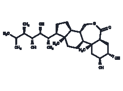 TARGETMOL CHEMICALS INC&nbsp;EPIBRASSINOLIDE 25MG