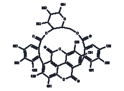 TARGETMOL CHEMICALS INC&nbsp;PUNICALIN 5MG