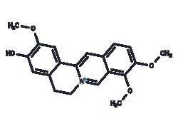 TARGETMOL CHEMICALS INC JATRORRHIZINE 25MG, Quantity: Each of 1