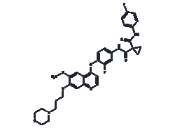 TARGETMOL CHEMICALS INC FORETINIB 25MG