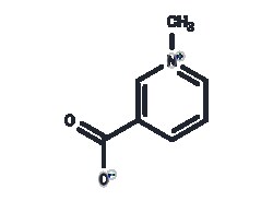 TARGETMOL CHEMICALS INC&nbsp;TRIGONELLINE 50MG
