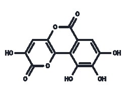 TARGETMOL CHEMICALS INC&nbsp;GALLOFLAVIN 10MG
