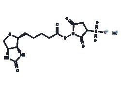 TARGETMOL CHEMICALS INC&nbsp;SULFO-NHS-BIOTIN 25MG