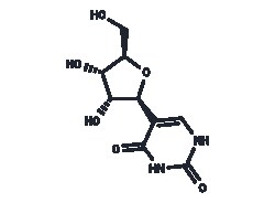 TARGETMOL CHEMICALS INC&nbsp;PSEUDOURIDINE 10MG