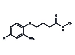 TARGETMOL CHEMICALS INC&nbsp;DROXINOSTAT 25MG