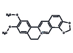 TARGETMOL CHEMICALS INC&nbsp;EPIBERBERINE 25MG
