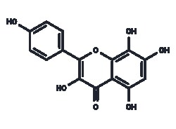 TARGETMOL CHEMICALS INC HERBACETIN 10MG