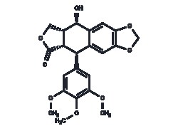 TARGETMOL CHEMICALS INC PICROPODOPHYLLOTOXIN 25MG