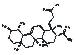 TARGETMOL CHEMICALS INC&nbsp;ROBURIC ACID 10MG