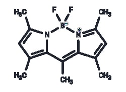 TARGETMOL CHEMICALS INC BODIPY 493/503 500MG