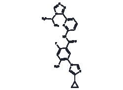 TARGETMOL CHEMICALS INC&nbsp;SELONSERTIB 25MG