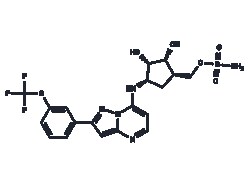 TARGETMOL CHEMICALS INC TAK-243 10MG, Quantity: Each of 1