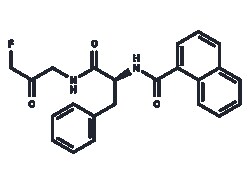 TARGETMOL CHEMICALS INC&nbsp;FMK 9A 5MG