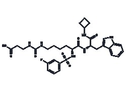 TARGETMOL CHEMICALS INC&nbsp;SIRT5 INHIBITOR 1 5MG