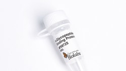 New England Biolabs, Inc.&nbsp;N-Glycopeptide Binding Protein - 1 ml