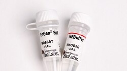 New England Biolabs, Inc.&nbsp;EnGen SpRY Cas9 - 2500 pmol