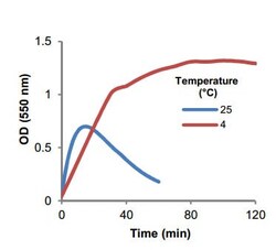 Abcam&nbsp;Acetoacetate Assay Kit (Colorimetric)