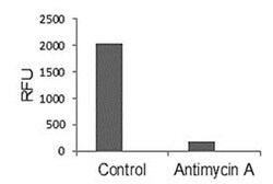 Abcam Yeast Mitochondria Isolation Kit, 50 Tests