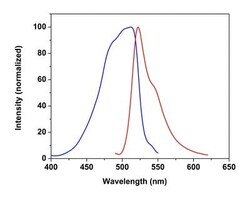 Abcam&nbsp;Free Fatty Acid Uptake Assay Kit (Fluorometric)