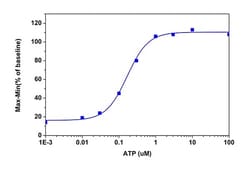 Abcam&nbsp;Fura 2 Calcium Flux Assay Kit   No Wash, Ratiometric