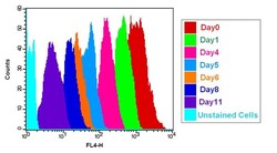 Abcam Cell Proliferation Staining Reagent   Deep Red Fluorescence   Cytopainter